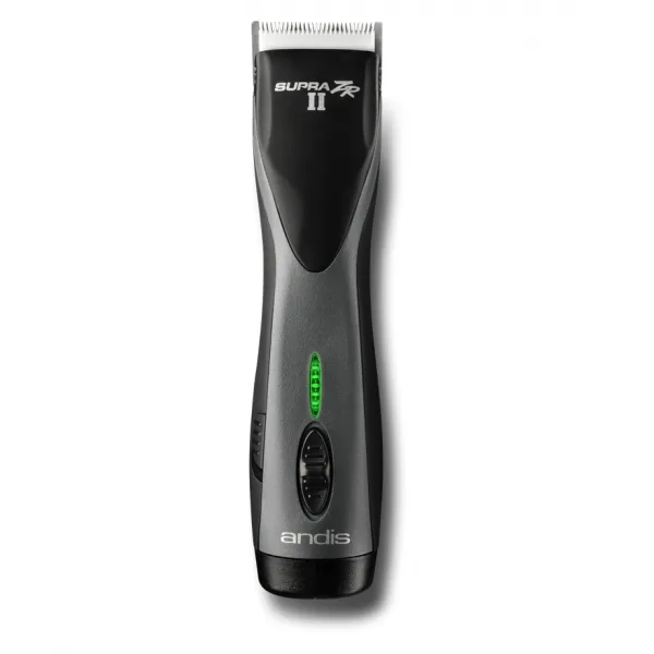 Ранее Andes Zr 2