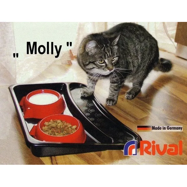 Набор чаш с подносом RIVAL - Molly 906000