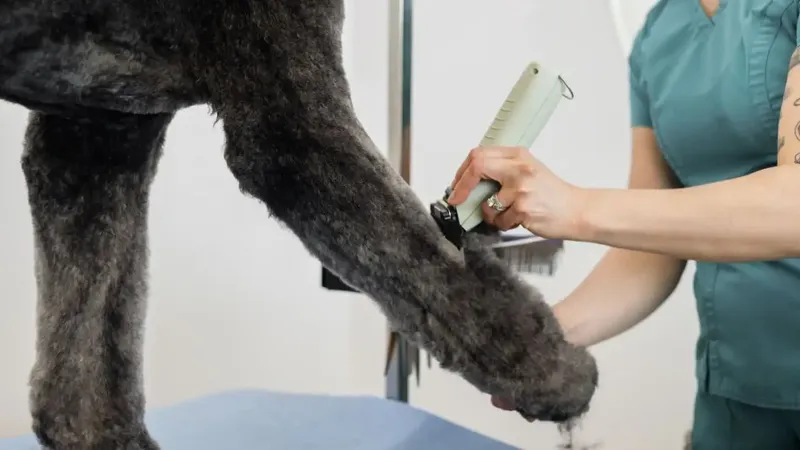 WAHL KMC+ Cordless - Изображение 5