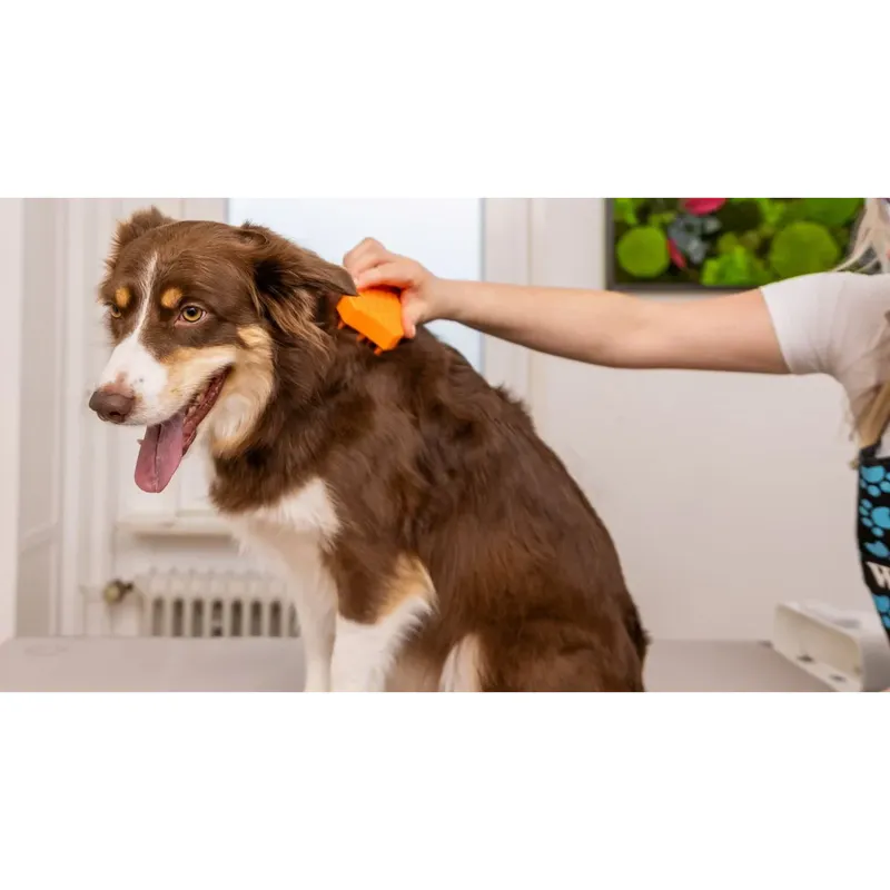 Расчесывающая щетка WAHL Sheddy - Изображение 2