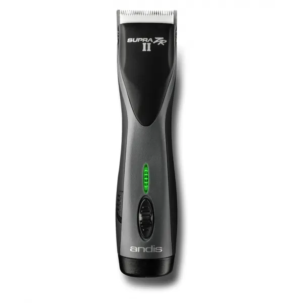 Ранее Andes Zr 2 - Изображение 1
