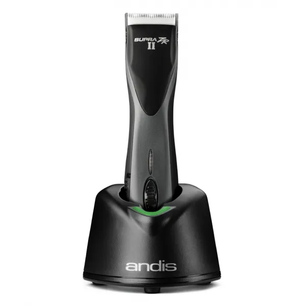 Ранее Andes Zr 2 - Изображение 2